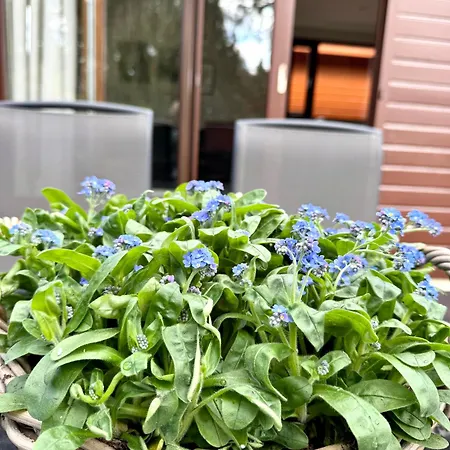 Holiday home 't Boshuusje Berg & Beek Putten