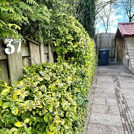 't Boshuusje Berg & Beek Holiday home *