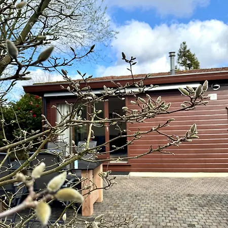 't Boshuusje Berg & Beek Holiday home *