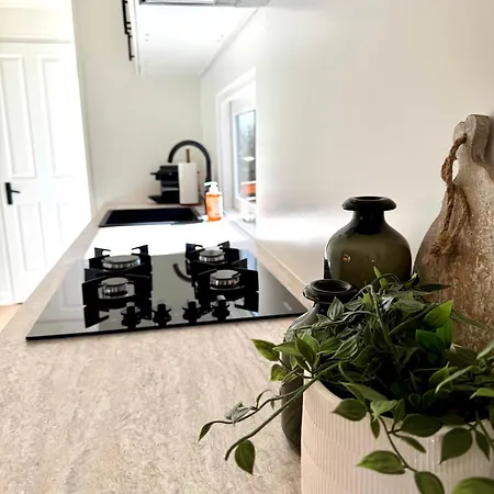 Holiday home 't Boshuusje Berg & Beek Putten