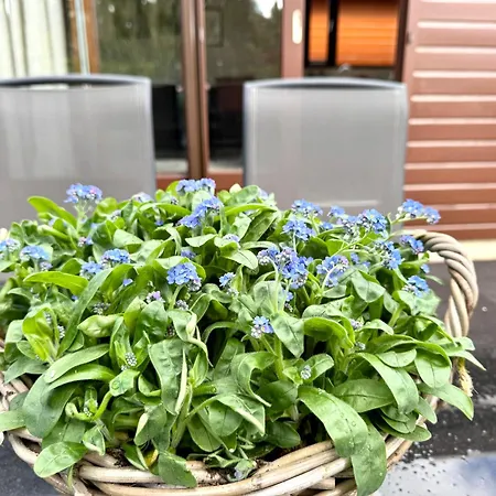 't Boshuusje Berg & Beek Holiday home