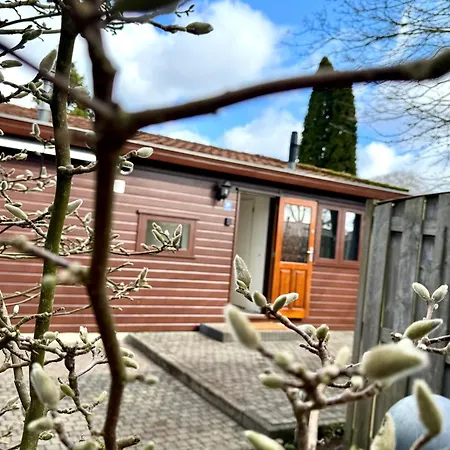 Holiday home 't Boshuusje Berg & Beek