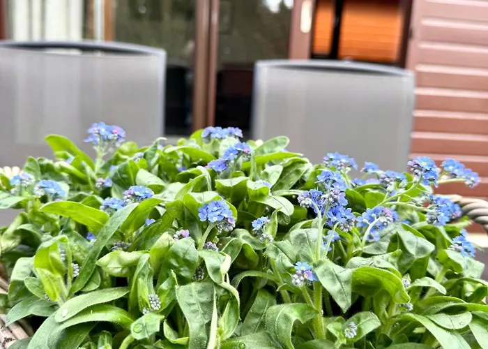 펜션 't Boshuusje Berg & Beek 푸텐