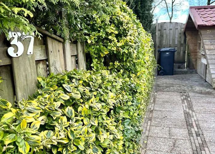 't Boshuusje Berg & Beek 펜션 *