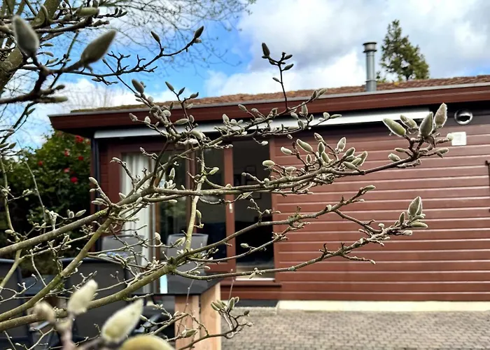 't Boshuusje Berg & Beek 펜션 *