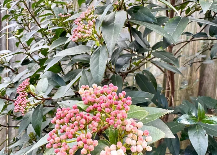 't Boshuusje Berg & Beek