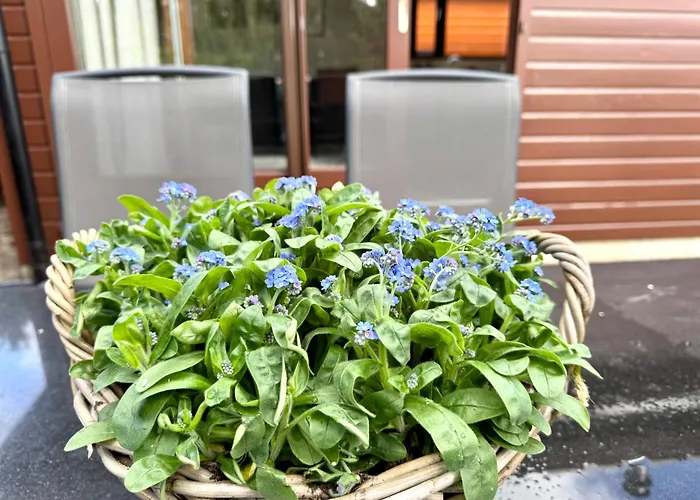 't Boshuusje Berg & Beek 펜션