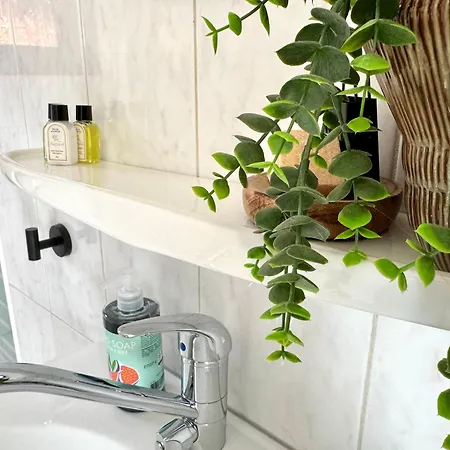 't Boshuusje Berg & Beek 度假居
